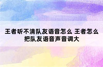 王者听不清队友语音怎么 王者怎么把队友语音声音调大